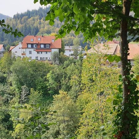 Ferienwohnung Auf Dem Bueckle Kleines Wiesental Kültér fotó