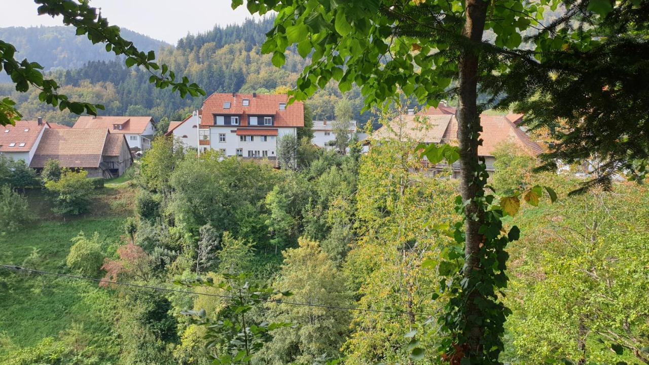 Ferienwohnung Auf Dem Bueckle Kleines Wiesental Kültér fotó