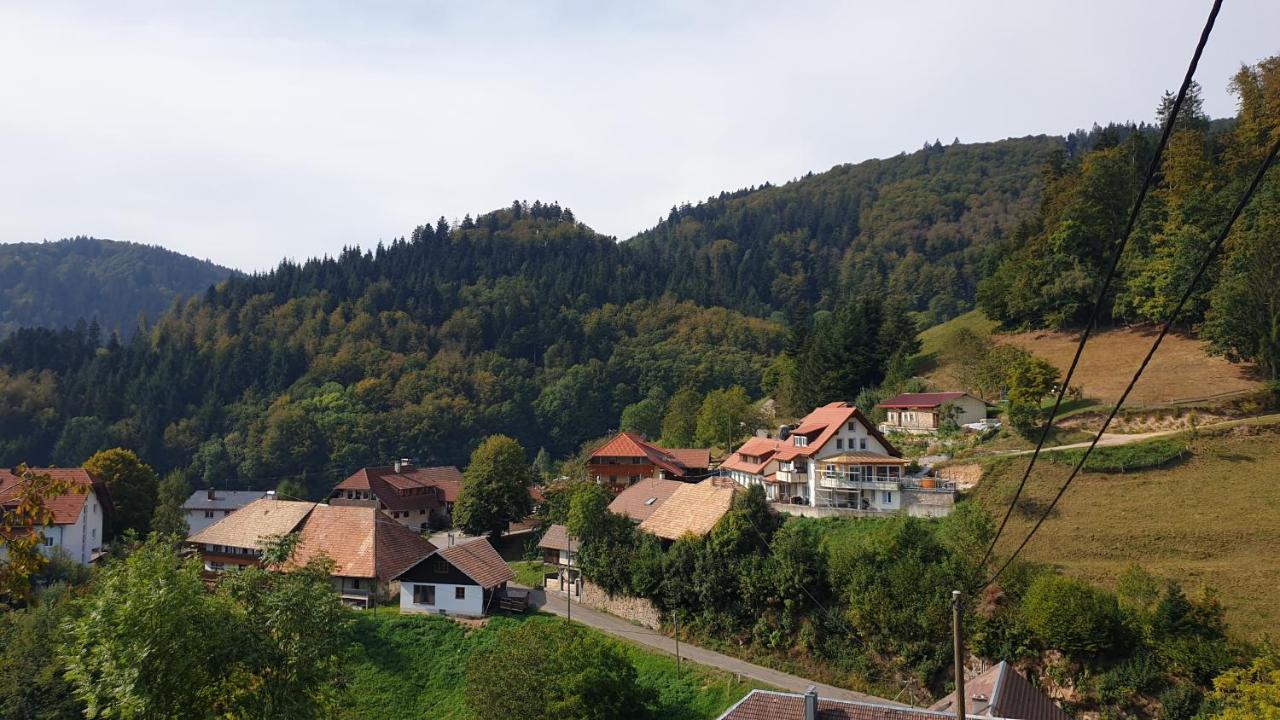 Ferienwohnung Auf Dem Bueckle Kleines Wiesental Kültér fotó