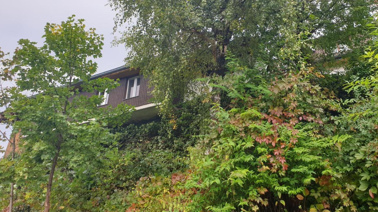 Ferienwohnung Auf Dem Bueckle Kleines Wiesental Kültér fotó