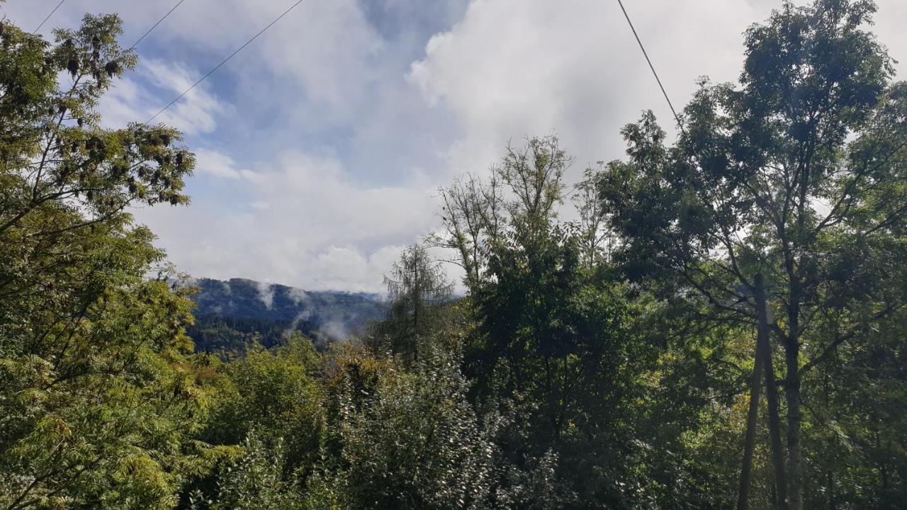 Ferienwohnung Auf Dem Bueckle Kleines Wiesental Kültér fotó